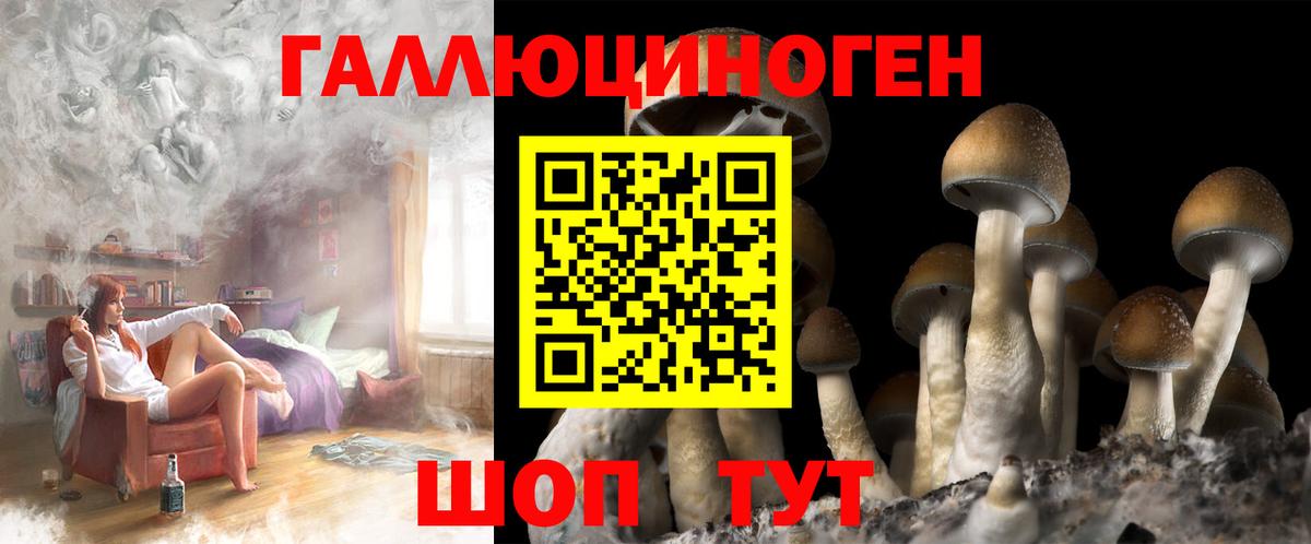Галлюциногенные грибы GOLDEN TEACHER Кимовск